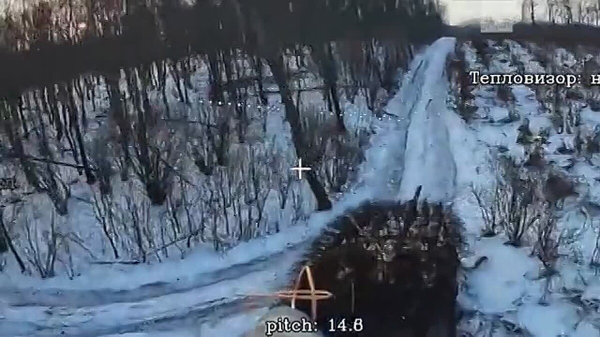     / Источник: © Кадр из видео