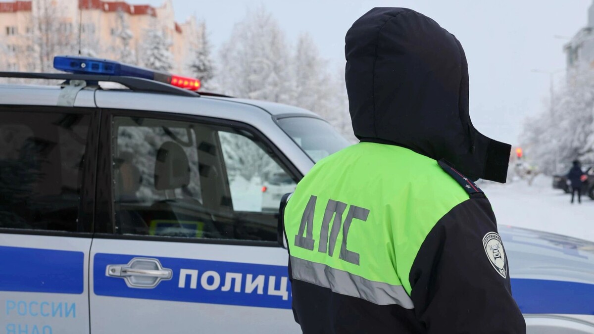    Фото: Андрей Ткачев / «Ямал-Медиа»