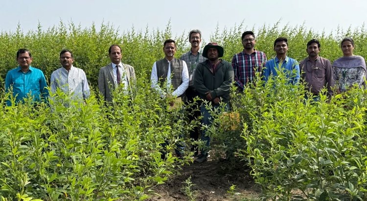    Фото: ICRISAT