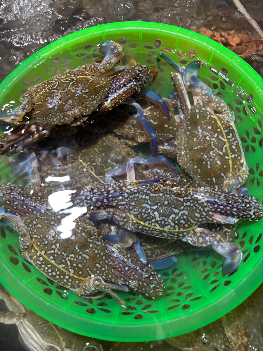 Сначала крабов тщательно промывают морской водой