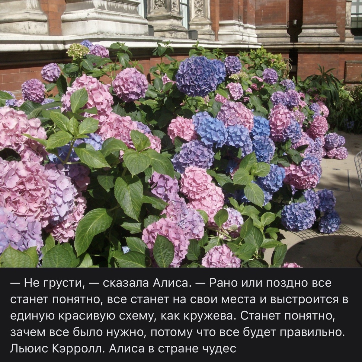 Пост в ВК того года