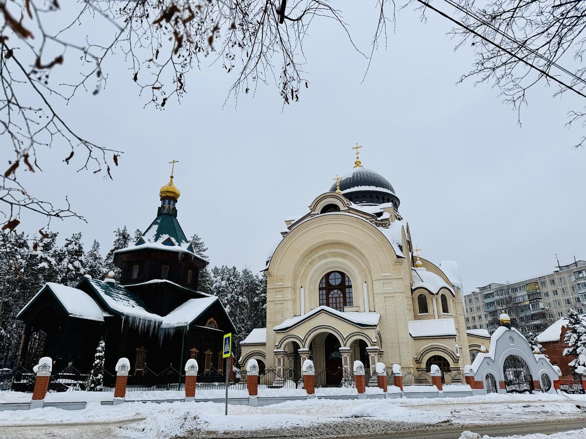    Фото: МедиаБанк Подмосковья/Ольга Стаферова