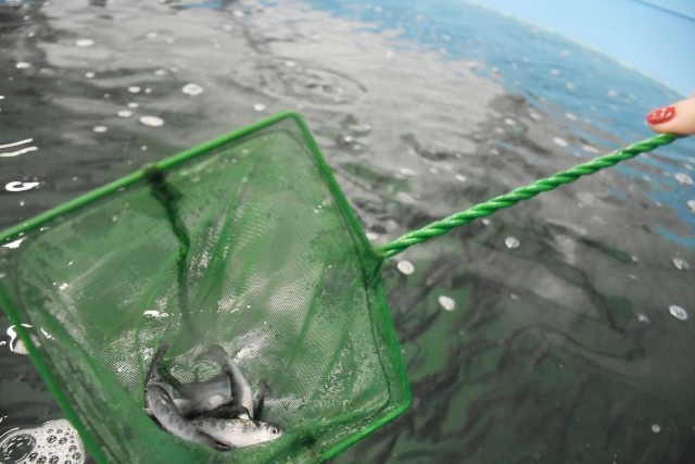   Фото: пресс-служба областного правительства