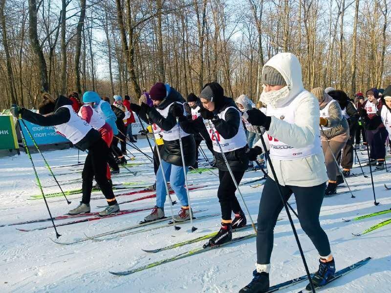    Фото: Администрация Курска