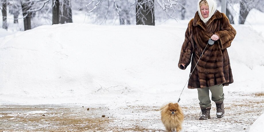    Фото: Москва 24/Лидия Широнина