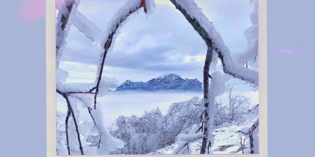 Пассивность: от чего нас защищает ничегонеделание?