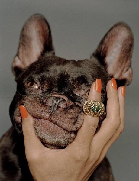 Карточка питомца — это ваша репутация в цифре