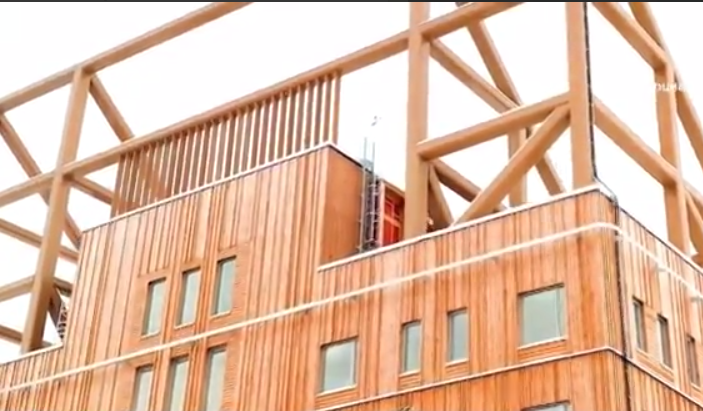 Деревянные многоэтажки: странная идея или тёплое будущее?