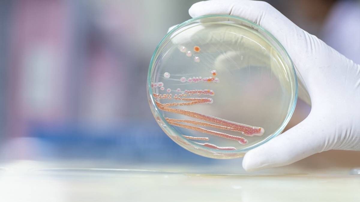    Фото: Shutterstock