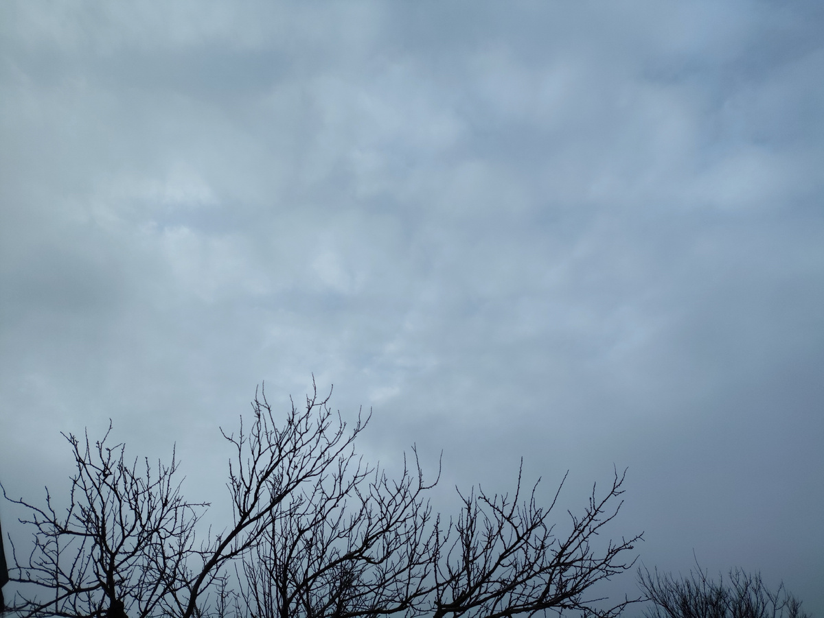 Весь день такая бяка...