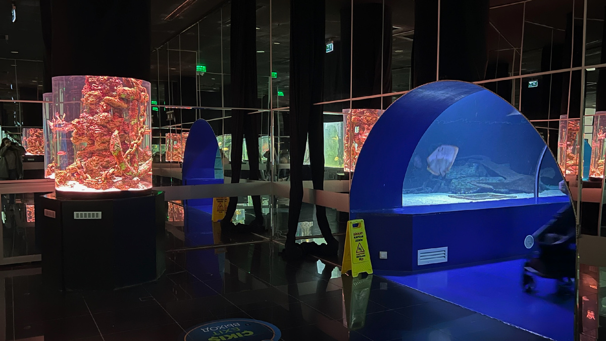 Gündüz Otel | Отель в Турции