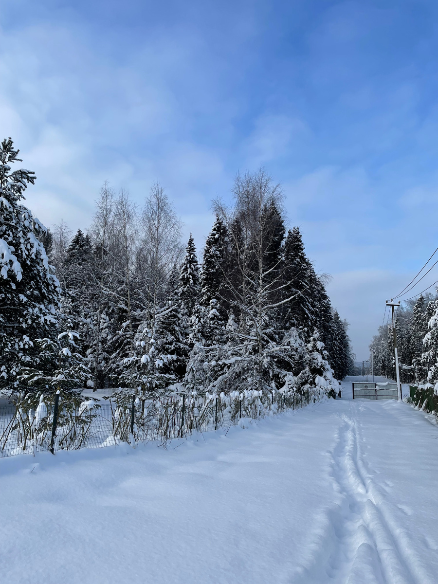 Дорога в «Нарнию»