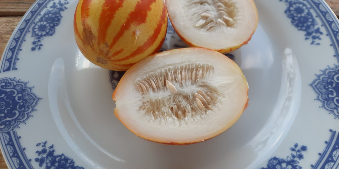 Маленькие и сладкие. Вьетнамские дыньки