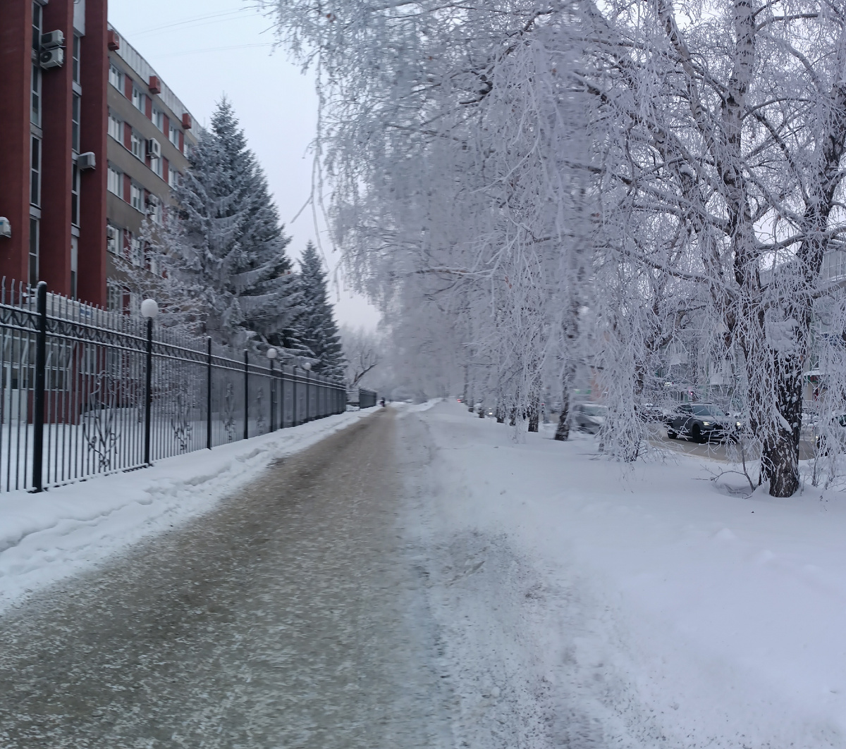 Где-то на просторах моего зимнего города. Сегодня изморозь на деревьях и как обычно много песка на тротуарах. Фотография автора, январь 2026 года. 