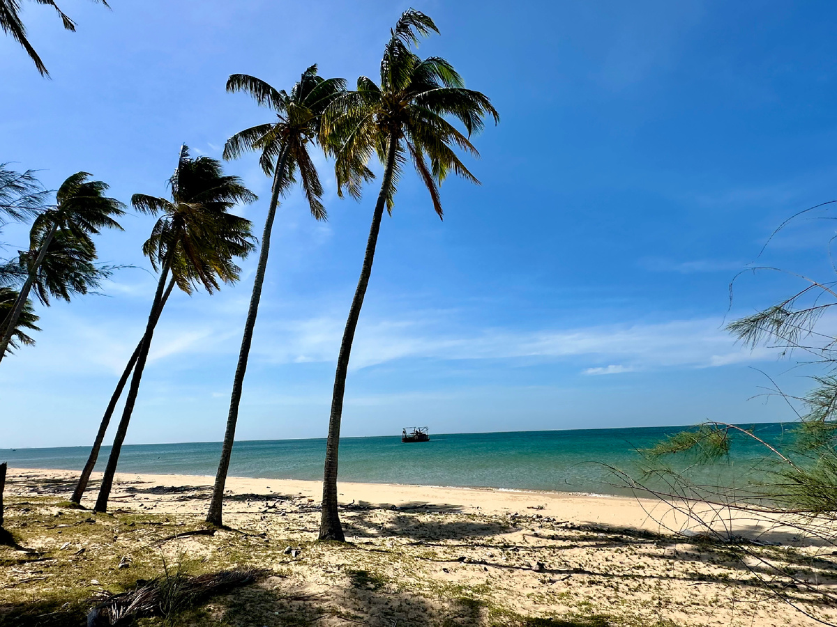 Море, пальмы, солнце и песок - всё как обычно.