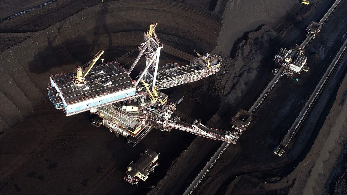 Фото: РИА Новости/Илья Наймушин