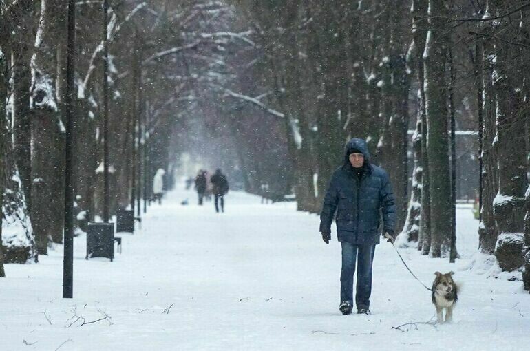   Александр Авилов /АГН «Москва»