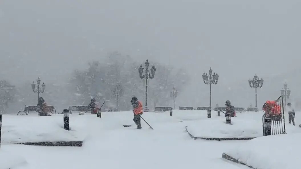    Фото: Телеканал Царьград