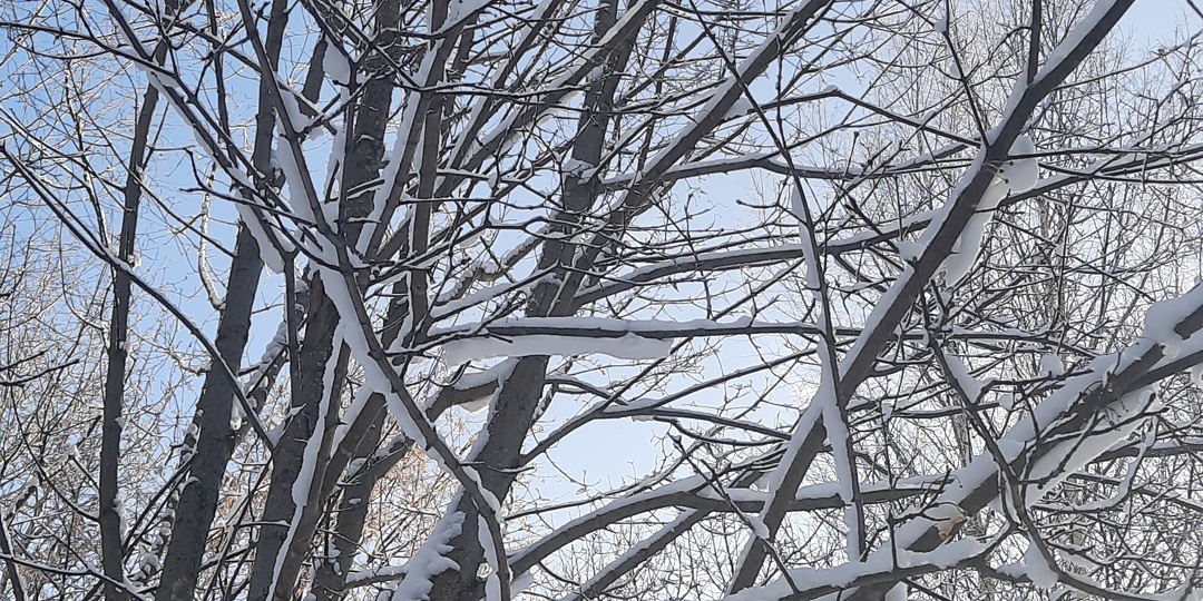 Скромность украшает человека 😉