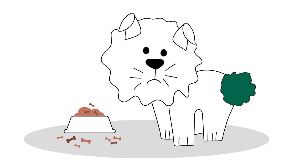 5 недопустимых ошибок для владельцев собак