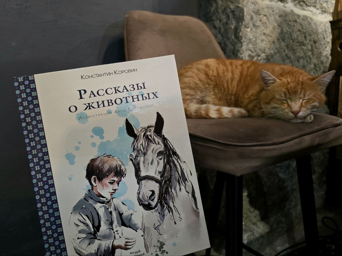 В презентации принял участие мой друг - кот Сковородкин.