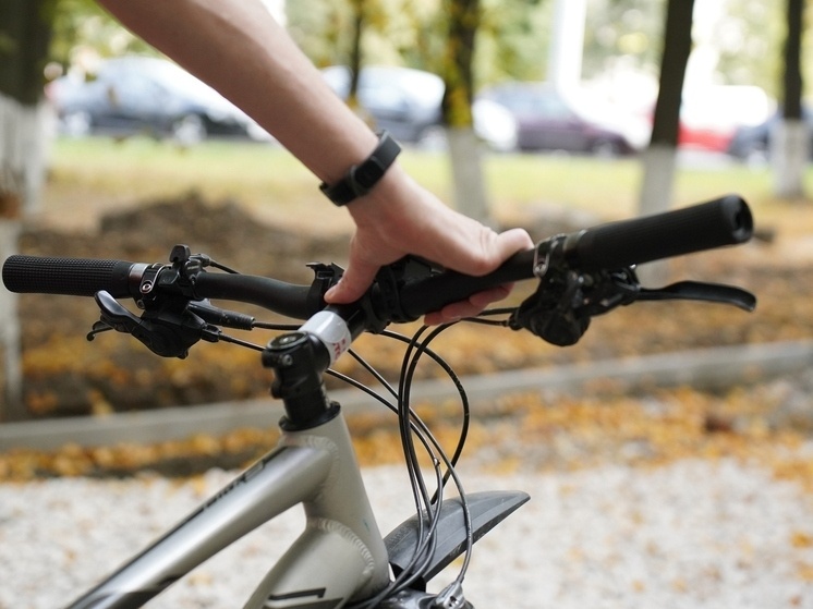     фото принадлежит SM-News, автор - Светлана Мулыкина