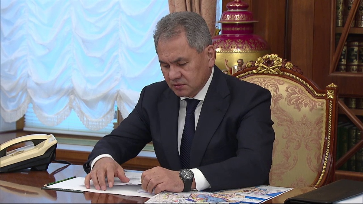 Кадр из видео, Сергей Шойгу