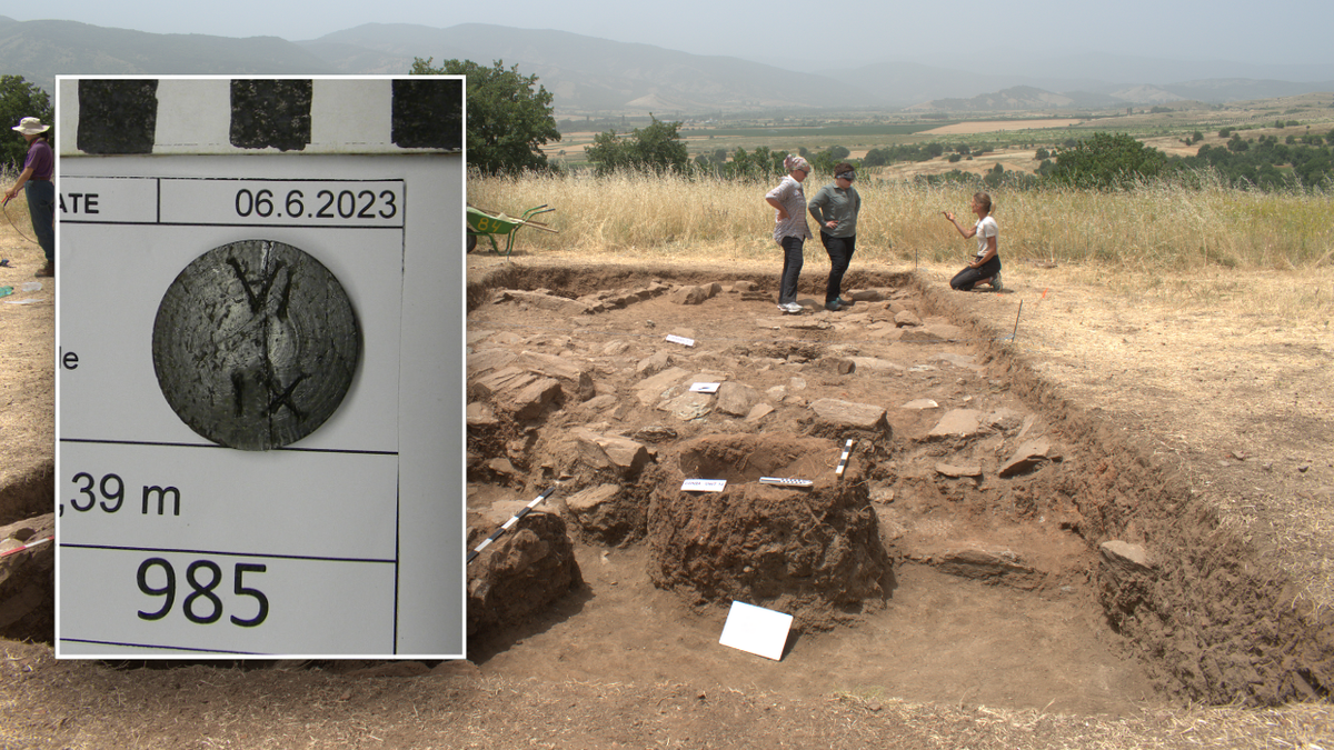 Место раскопок. Источник: https://clck.su/HHtWS