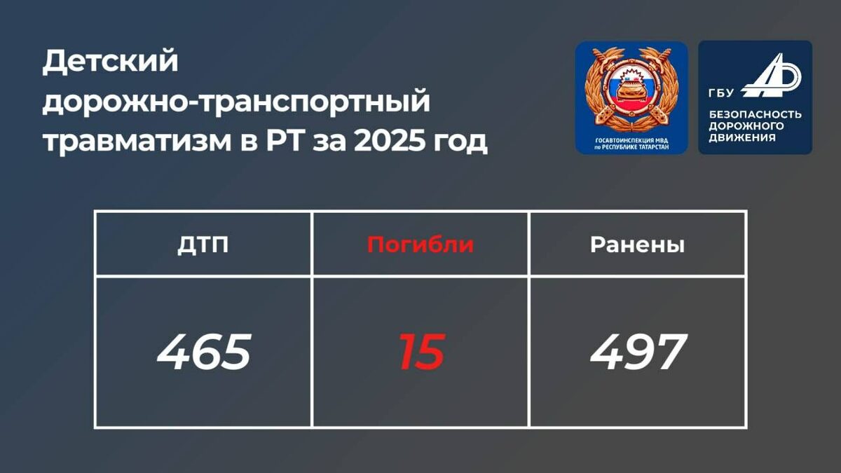 Фото: gbubdd.tatarstan.ru