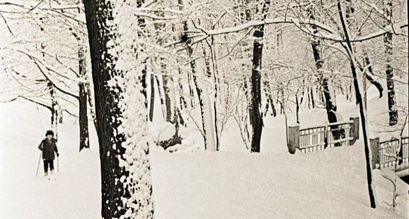    Зимний Парк Калинина (сейчас ЦПКиО) зимой 1960-х/Государственный архив Калининградской области