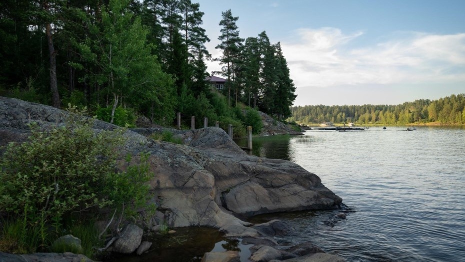    Автор фото: Тихонов Михаил