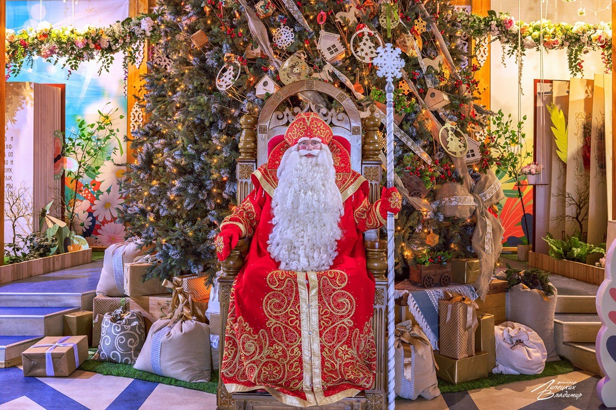 Дед Мороз в своём тереме. Фото: Владимир Липецких