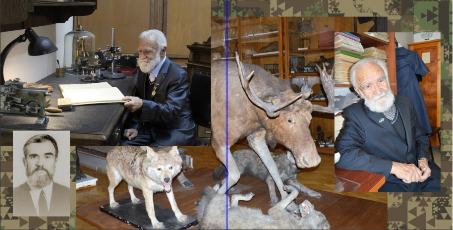 ФОТО СЕРИЯ: Доцент Валериан Иванович Гаранин на рабочем месте в Казанском университете. Фрагмент экспозиции Зоологического музея имени Э. А. Эверсмана