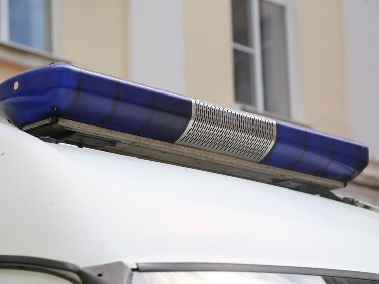     Фото: МК в Сочи