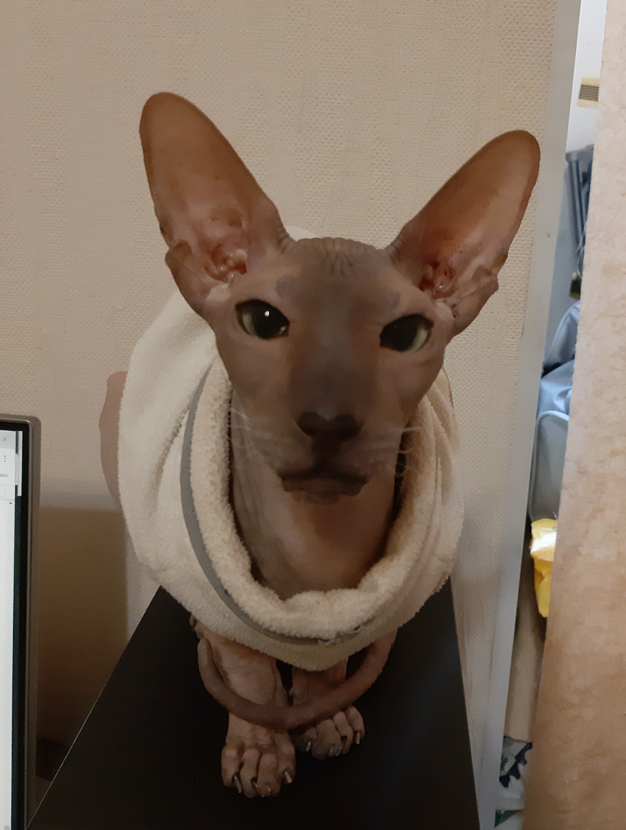 Это он сейчас такой стал.                                                                                          