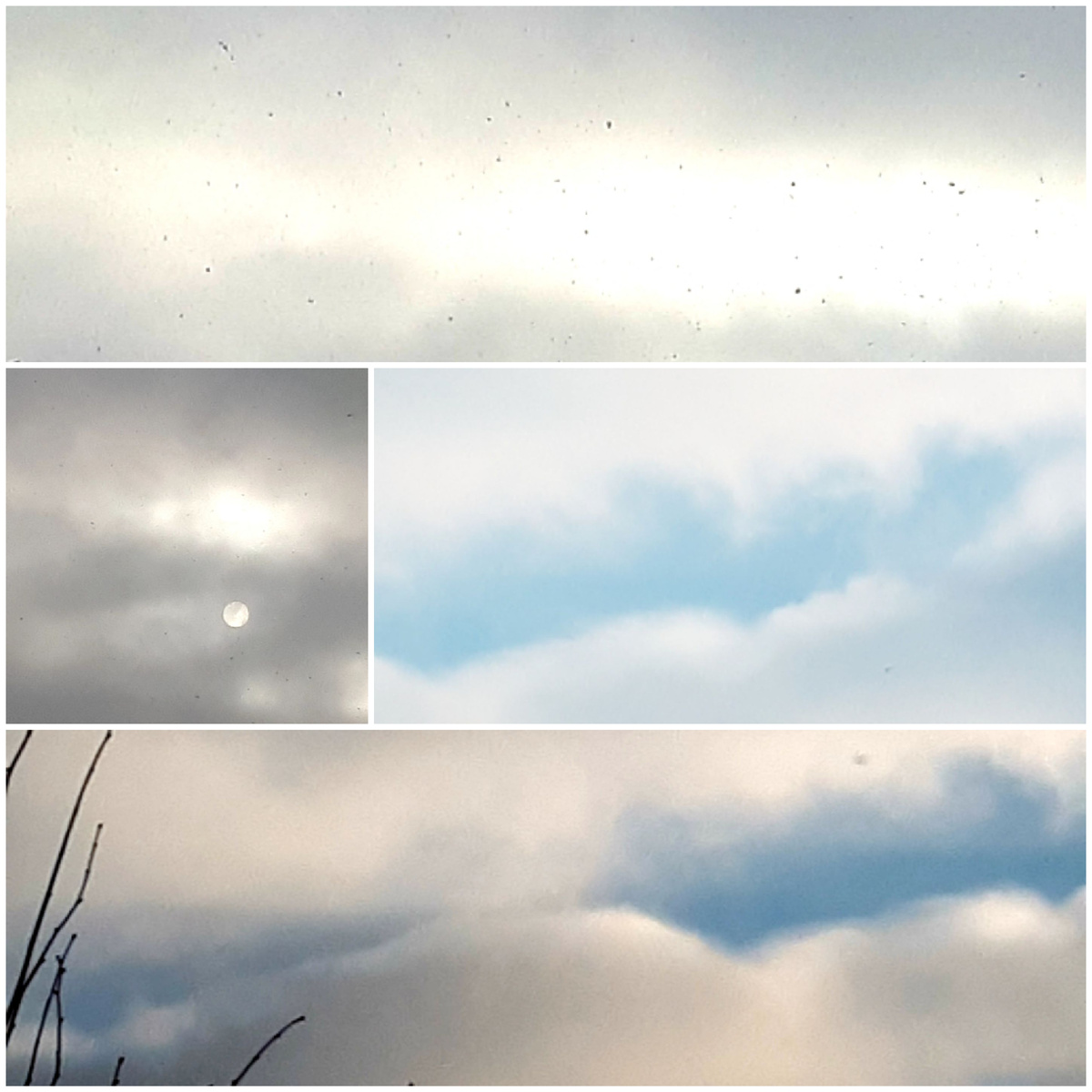 Коллаж автора 23.01.2026г.