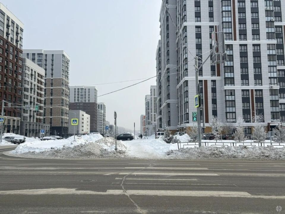    Новый светофор в Барнауле. Источник: barnaul.org