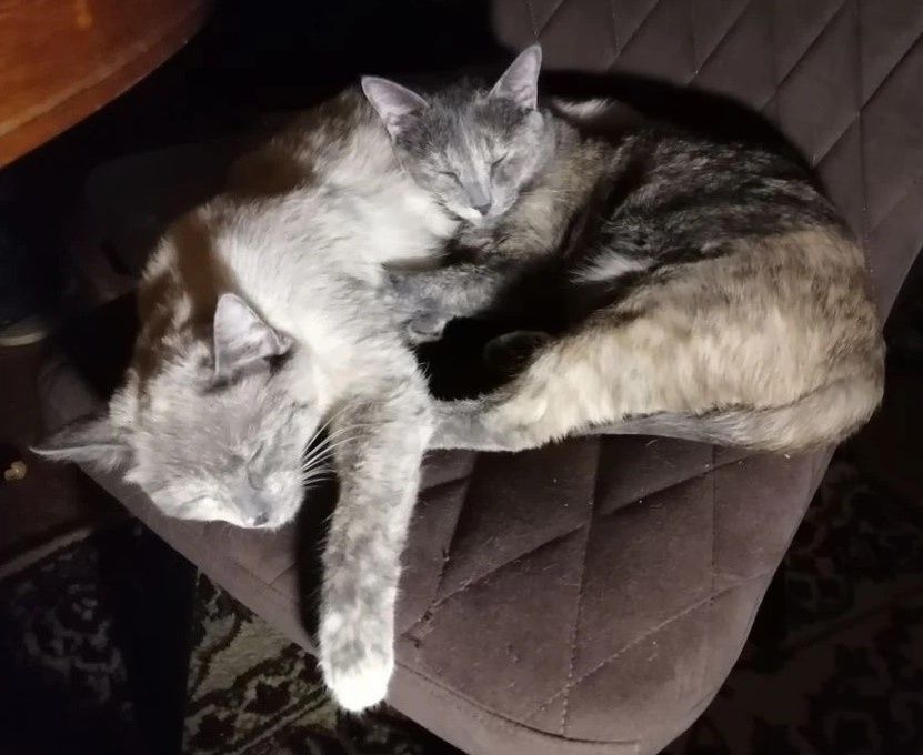 фото автора 