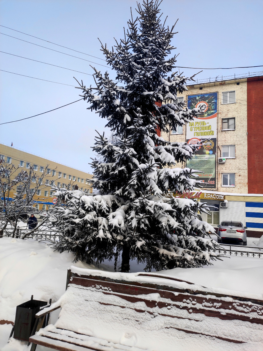 Мой новый день. Фото автора 