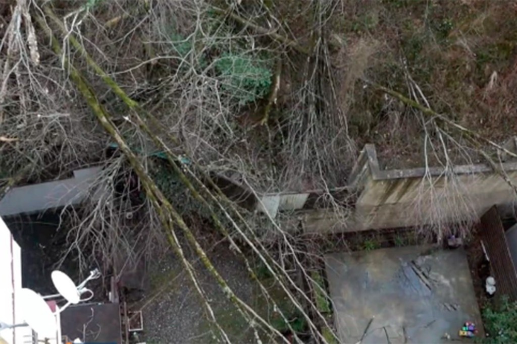    Фото © Скриншот видео / Телеканал «Кубань 24»