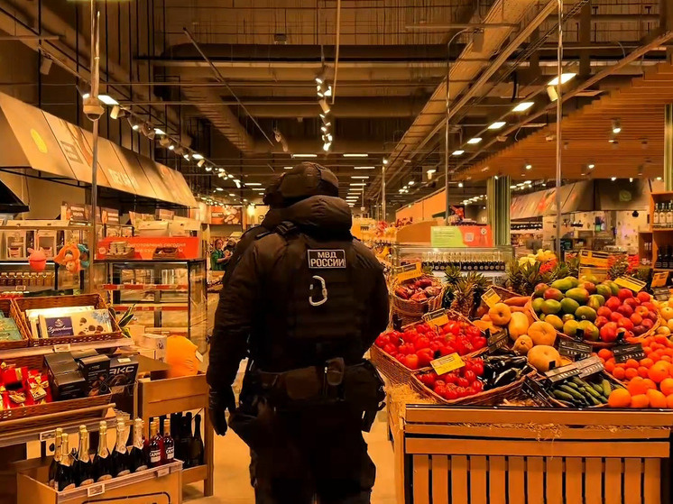     Фото: ГУ МВД России по Петербургу и Ленобласти.