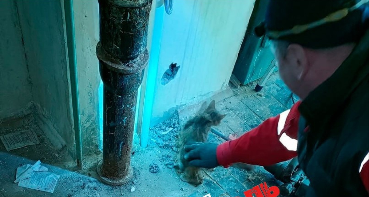    Жесть Ярославль