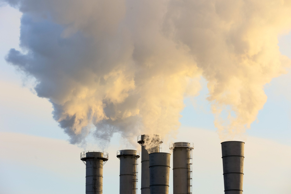    Сергей Булкин/NEWS.ru