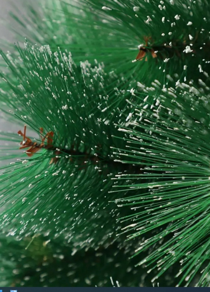 Фото из интернета.