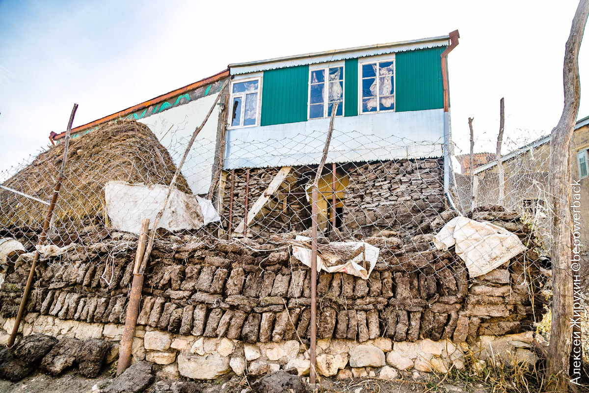 Это будничный способ заготовки главного деликатеса горцев