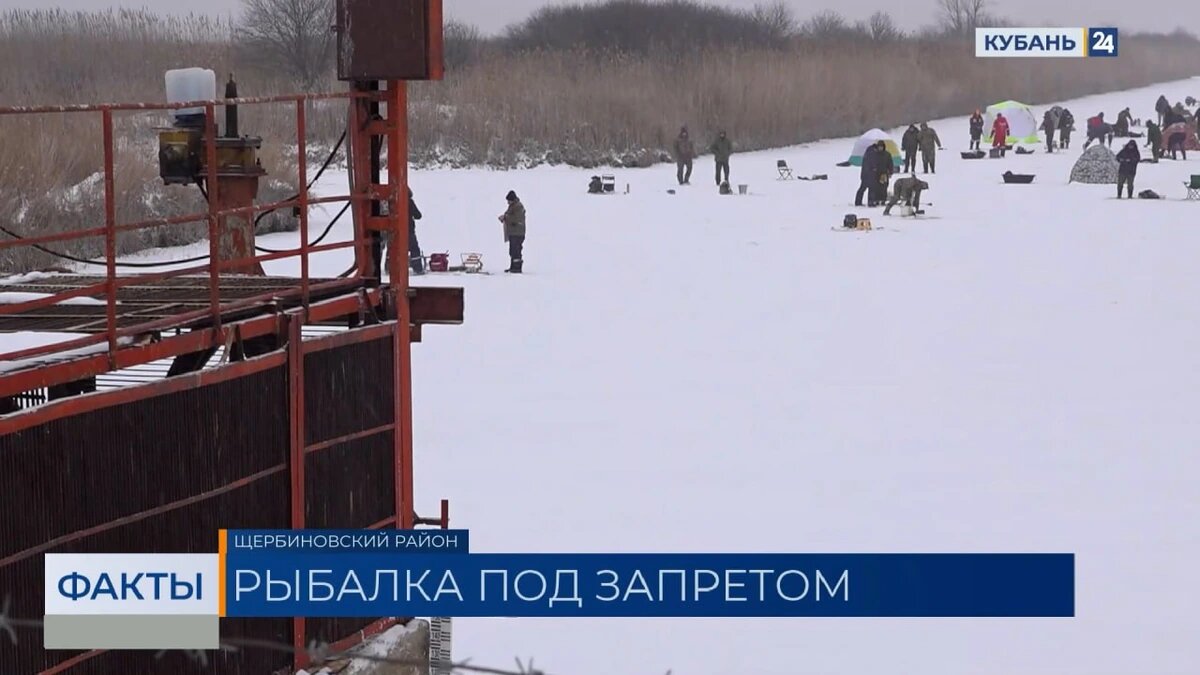    Скриншот видео телеканала «Кубань 24»