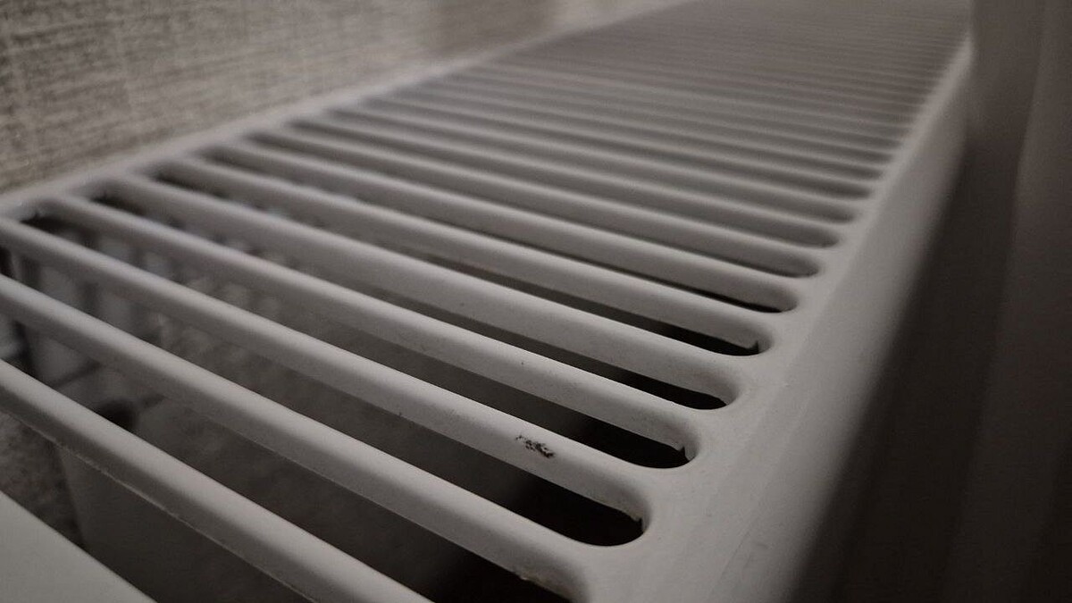    Фото: телеканал «Краснодар»