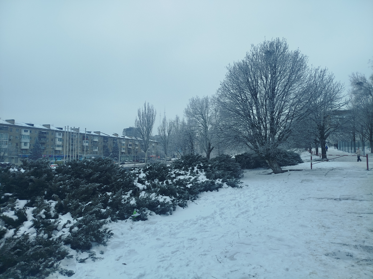 Начало Ленинского проспекта возле цирка "Космос". Вечнозелёные растения под снегом.
