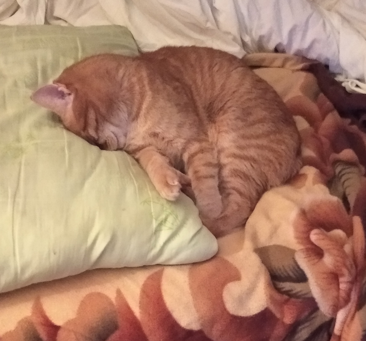 Личное  фото