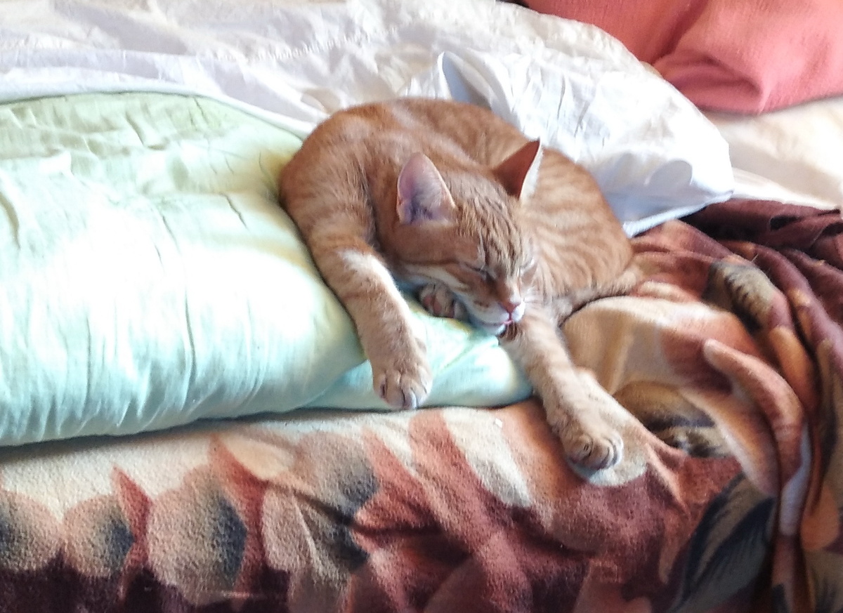 личное фото